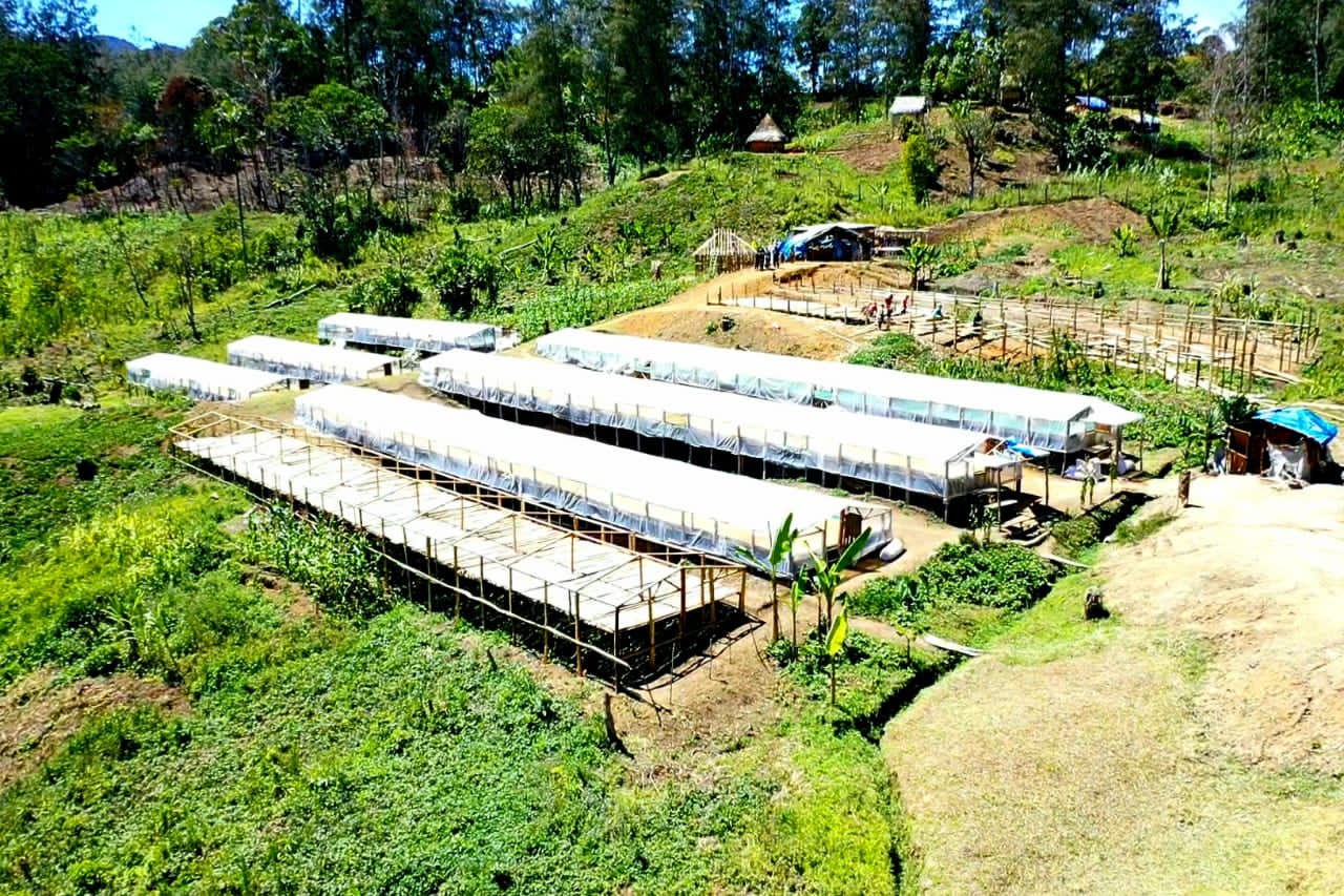 Papua New Guinea Kinmuga