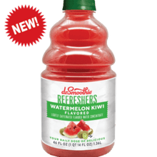 Dr. Smoothie Refreshers Watermelon Kiwi Concentrate (46oz bottle)